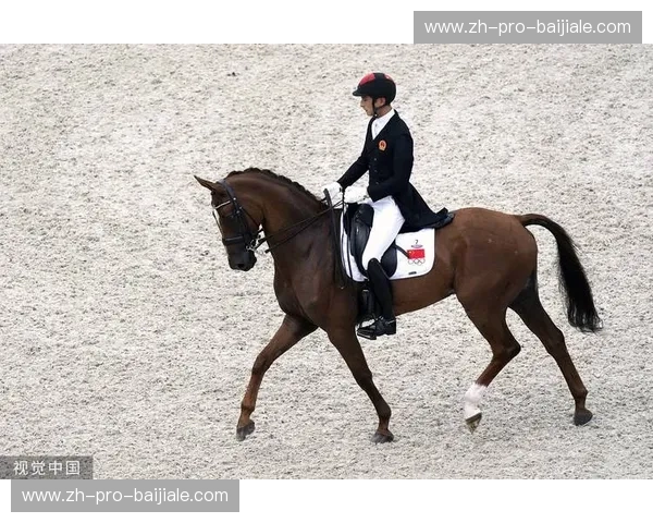 排名马术：让每一次跃动都成为名次的风景